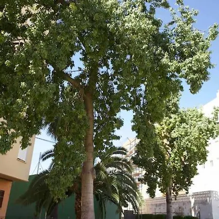 Atico Con Piscina Y Gran Terraza En Playa Pobla De Farnals * La Pobla de Farnals